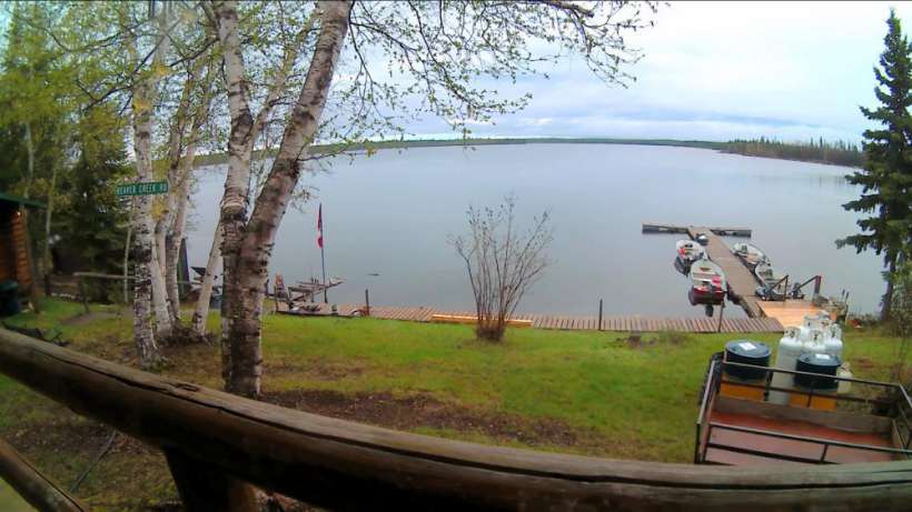 Pickerel Bay Cabins 